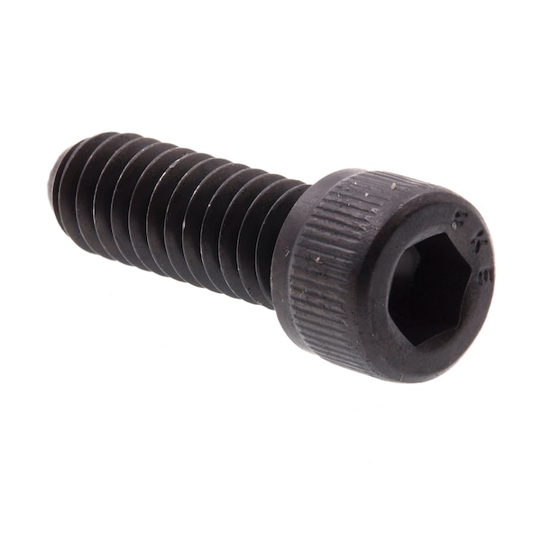 Prime-Line 1/4"-20 Socket Head Cap Screw, 3/4 in Length, 10 PK 9178524 - main